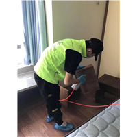 老房翻新除醛除味