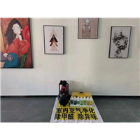 碧桂园剑桥郡除甲醛