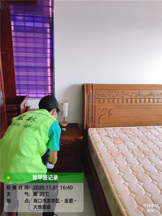 金碧大地豪庭甲醛治理 
