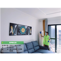 大华锦绣甲醛治理 