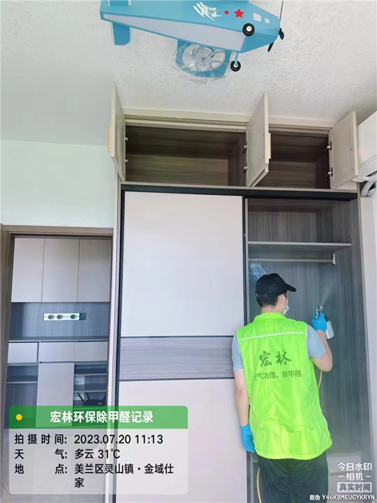 金域仕家甲醛治理
