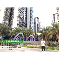 金地海南自在城甲醛治理