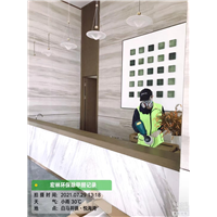 儋州市白马井镇悦海湾室内甲醛治理