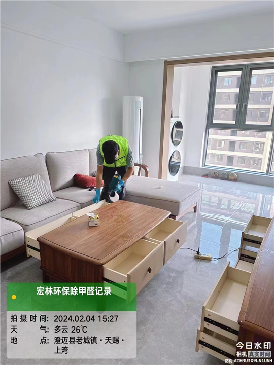 天赐上湾甲醛治理