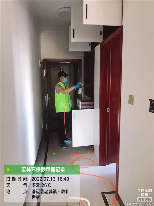 敦和世家甲醛治理