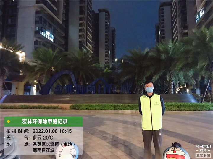 金地自在城甲醛治理