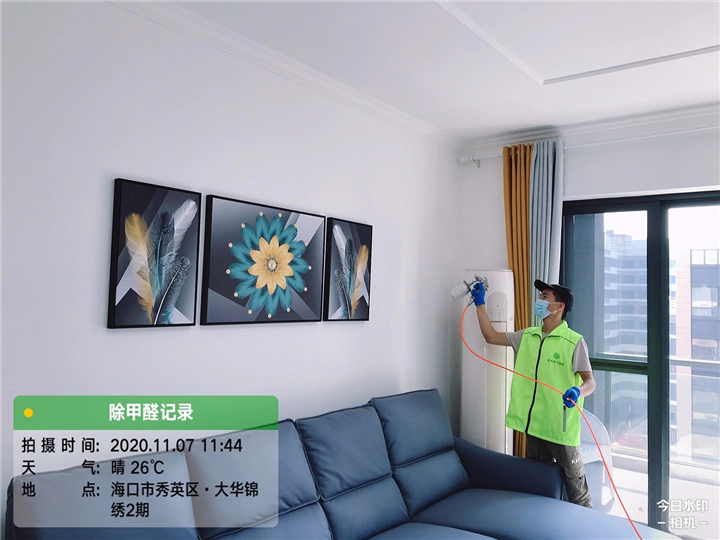 大华锦绣甲醛治理 