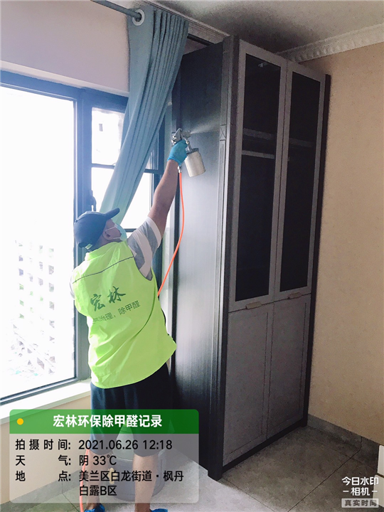 枫丹白露B区室内甲醛治理
