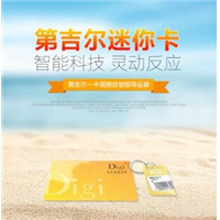 第吉尔迷你卡（成都上门开锁） 