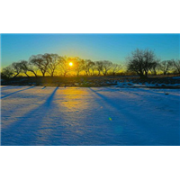 湿地公园雪景