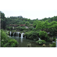 黑瞎子岛旅行社哪家好 