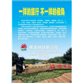 东极旅行社 