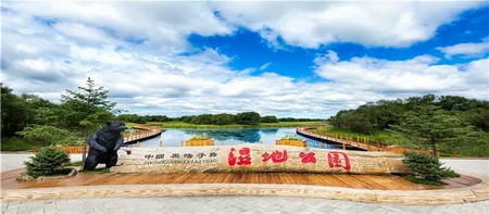 黑瞎子岛湿地公园