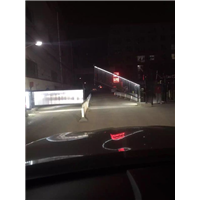 保定广告道闸 