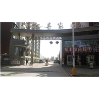 保定道闸 