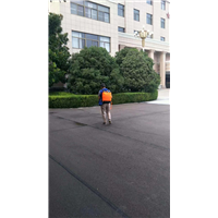 蚌埠杀虫之化学防治