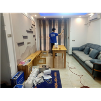 宁晋县除甲醛除异味公司哪家好
