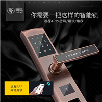 桐城李文锁城