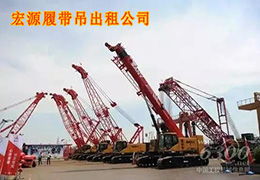 江苏省淮安市金湖履带吊出租 