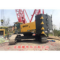 江苏泰州靖江履带吊出租 