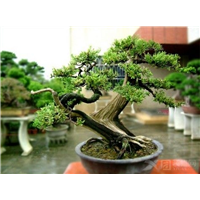深圳风水大师黄天雄风水培训 