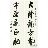 深圳市大美天成咨询公司 