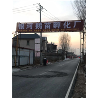 河北鹅苗孵化场