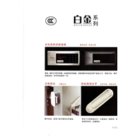 白金2