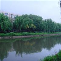 河道清淤工程队
