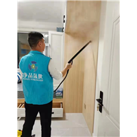 聊城专业除甲醛公司