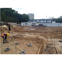 三亚白蚁防治 