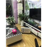 嘉园三期客户室内空气检测