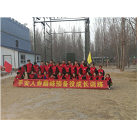 沧州拓展训练基地 