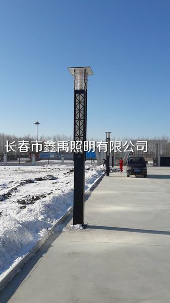 长春景观灯厂家