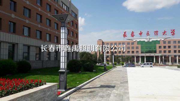 长春景观灯厂家