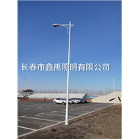长春高杆灯厂家