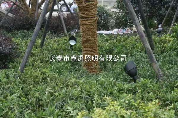 长春路灯价格#吉林省太阳能路灯厂家