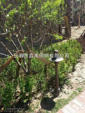 长春led路灯#长春厂区高杆灯