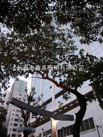长春路灯厂#长春路灯价格
