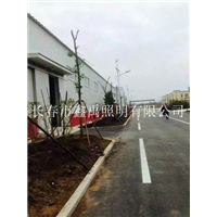 长春led路灯#长春厂区高杆灯