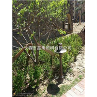 长春led路灯#长春厂区高杆灯
