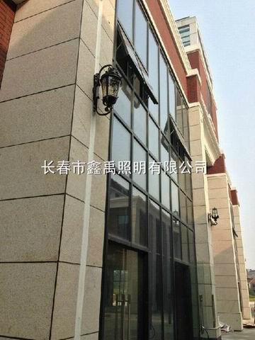 长春景观灯厂家#长春太阳能路灯厂家