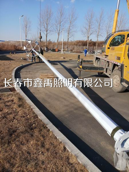 长春路灯高杆灯安装