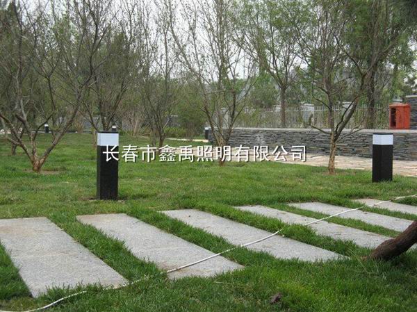 长春**的路灯厂家#长春led路灯