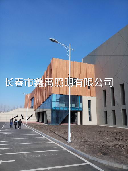 长春高杆灯厂家