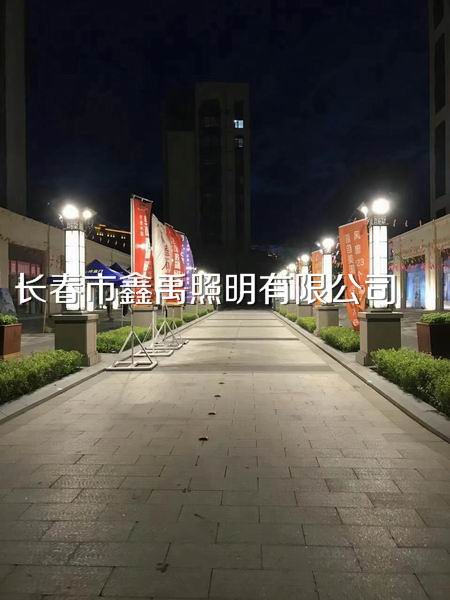 长春景观灯厂家