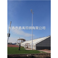 长春足球场灯篮球场灯厂家