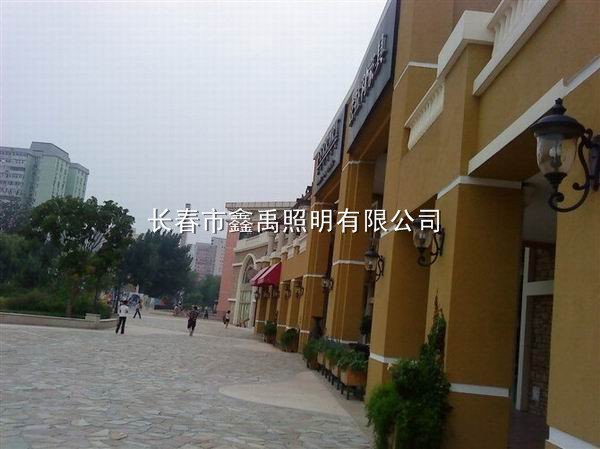 长春景观灯厂家#长春太阳能路灯厂家