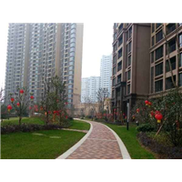 景观改造公司