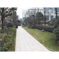 苗圃基地建设